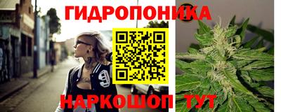 бошки Тула