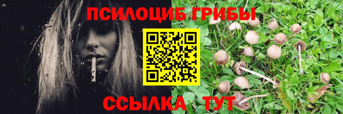 Псилоцибиновые грибы MAGIC MUSHROOMS Новочебоксарск